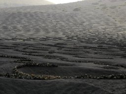 La_Palma_Lanzarote_2003-2004-026